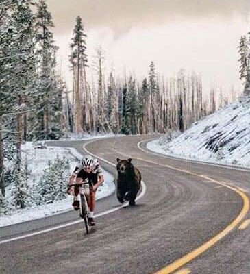 "Тур де Медведь"