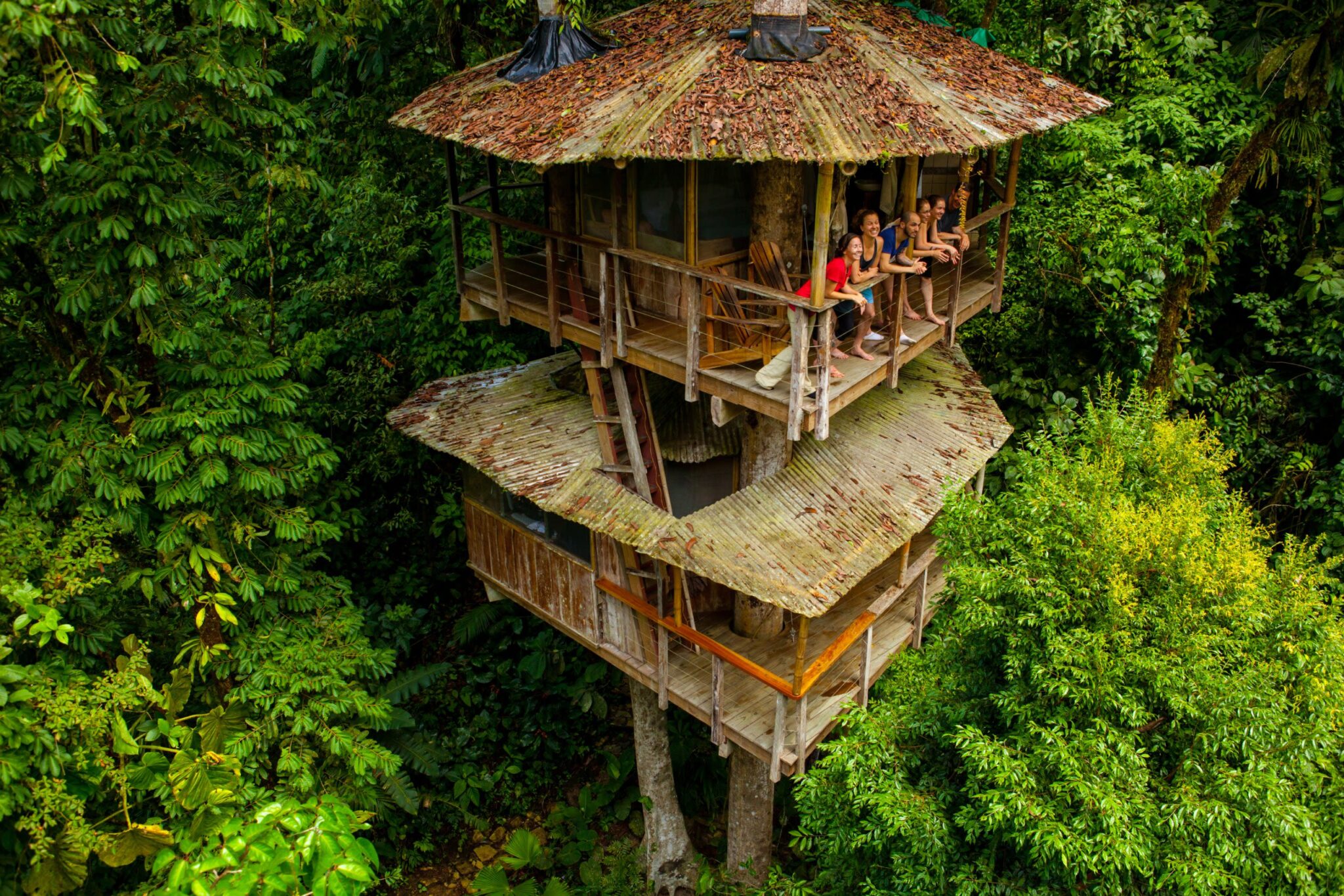 Tree house is