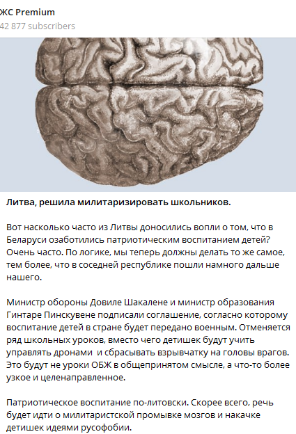 Образование в Литве передано военным