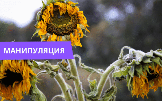 Литва отказывается забирать тело погибшего военного