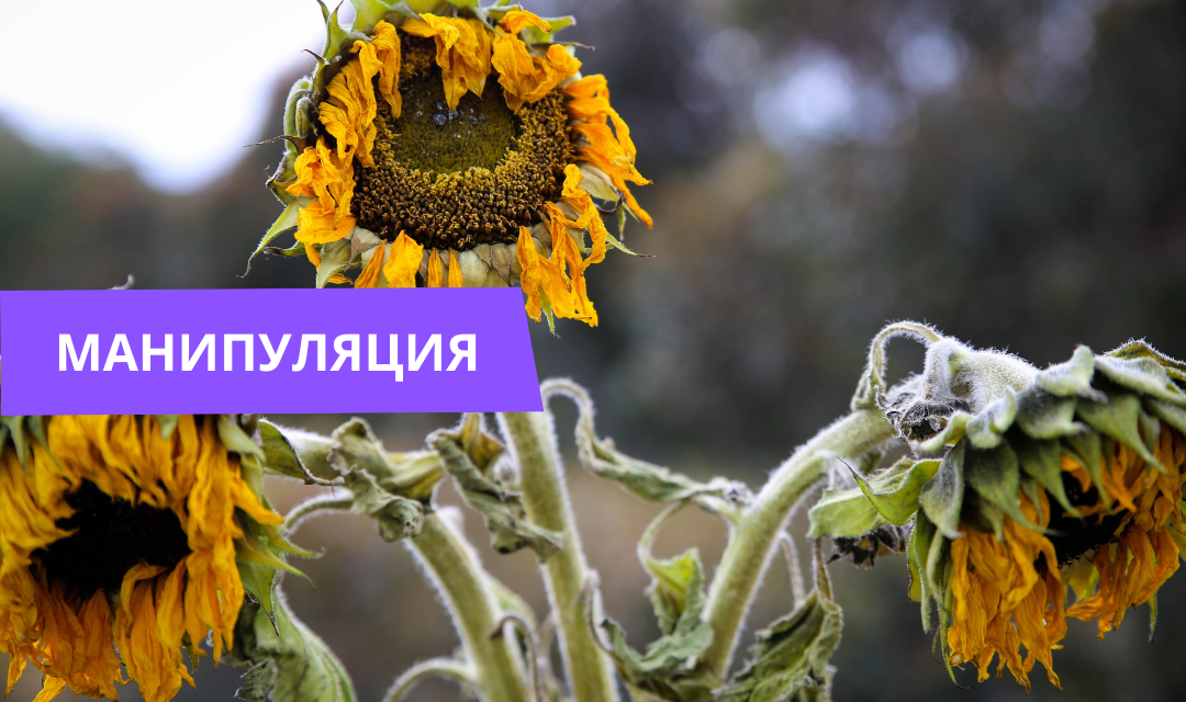 Image accompanying Литва отказывается забирать тело убитого в Украине литовского военного
