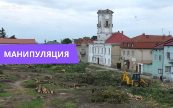 В Украине срубили деревья за то, что они советские