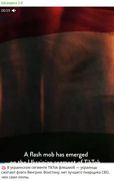 Украинцы сжигают флаги Венгрии фейк